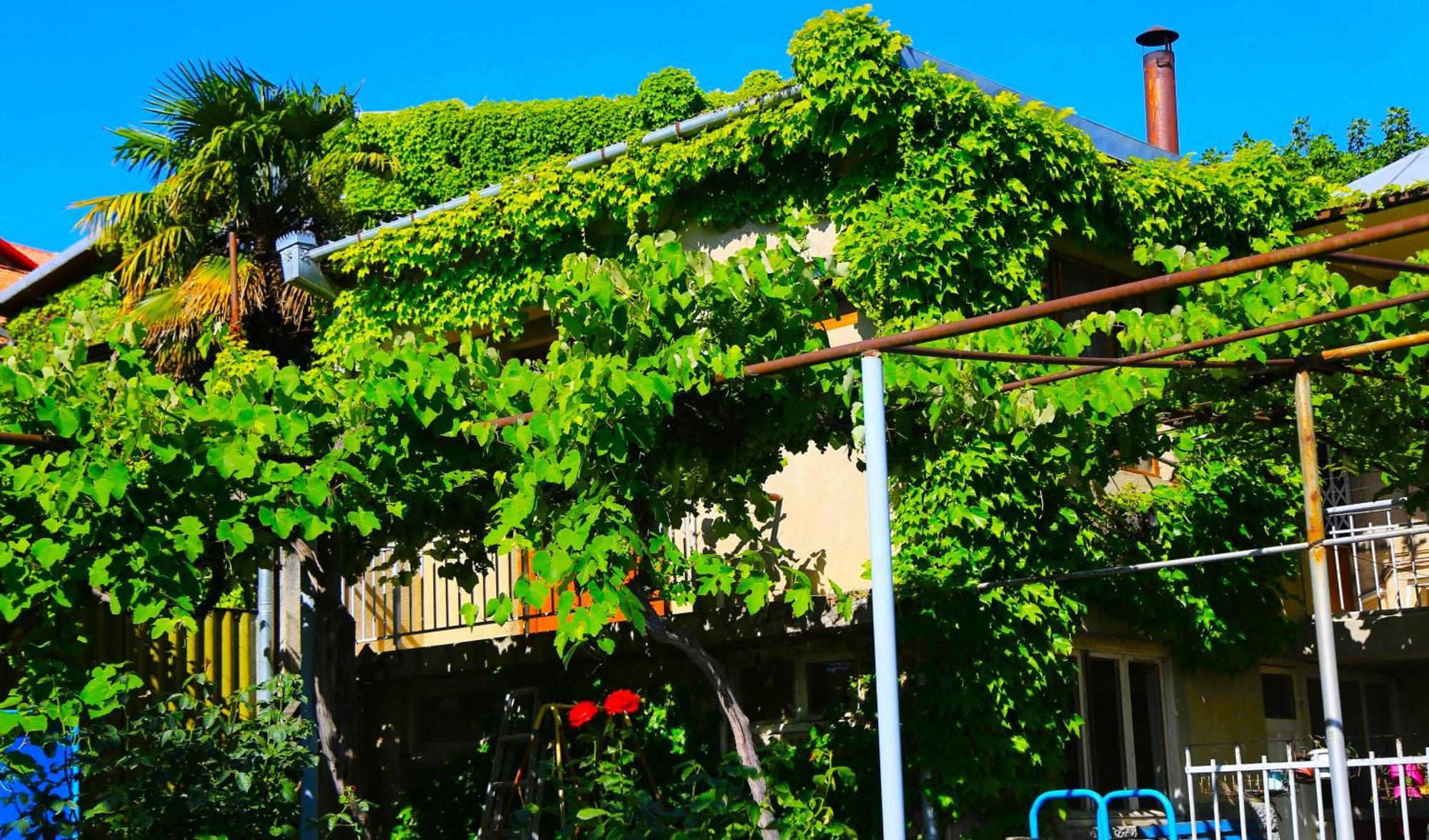 Guest House Green Veranda Mtsʼkhetʼa Extérieur photo